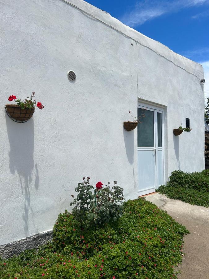 Casa Rural El Pasil 阿罗纳 外观 照片